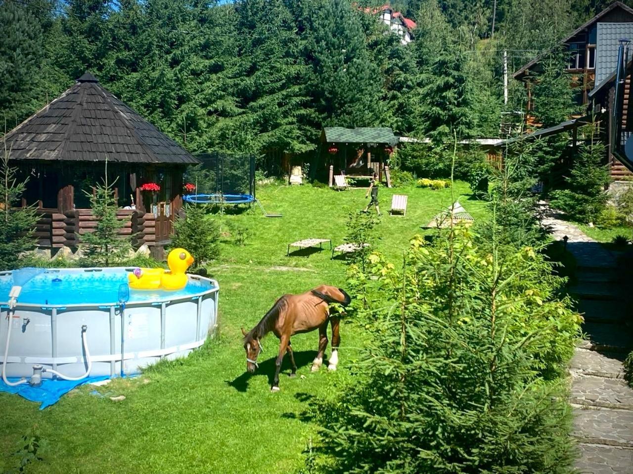 Kalinka Bukovel