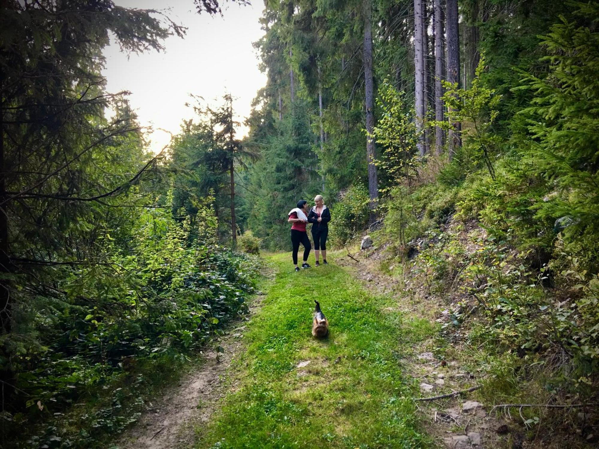 Lodge Kalinka Bukovel