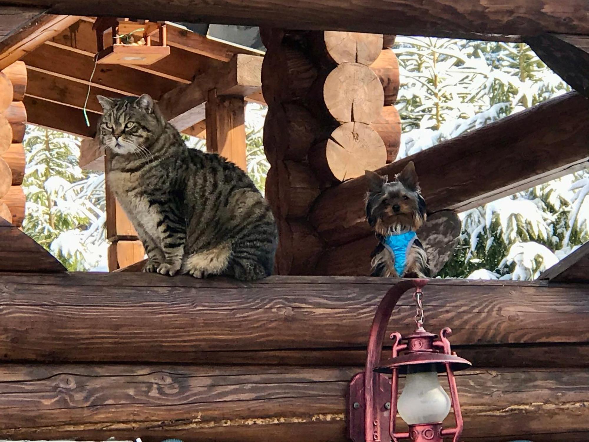 Lodge Kalinka *
