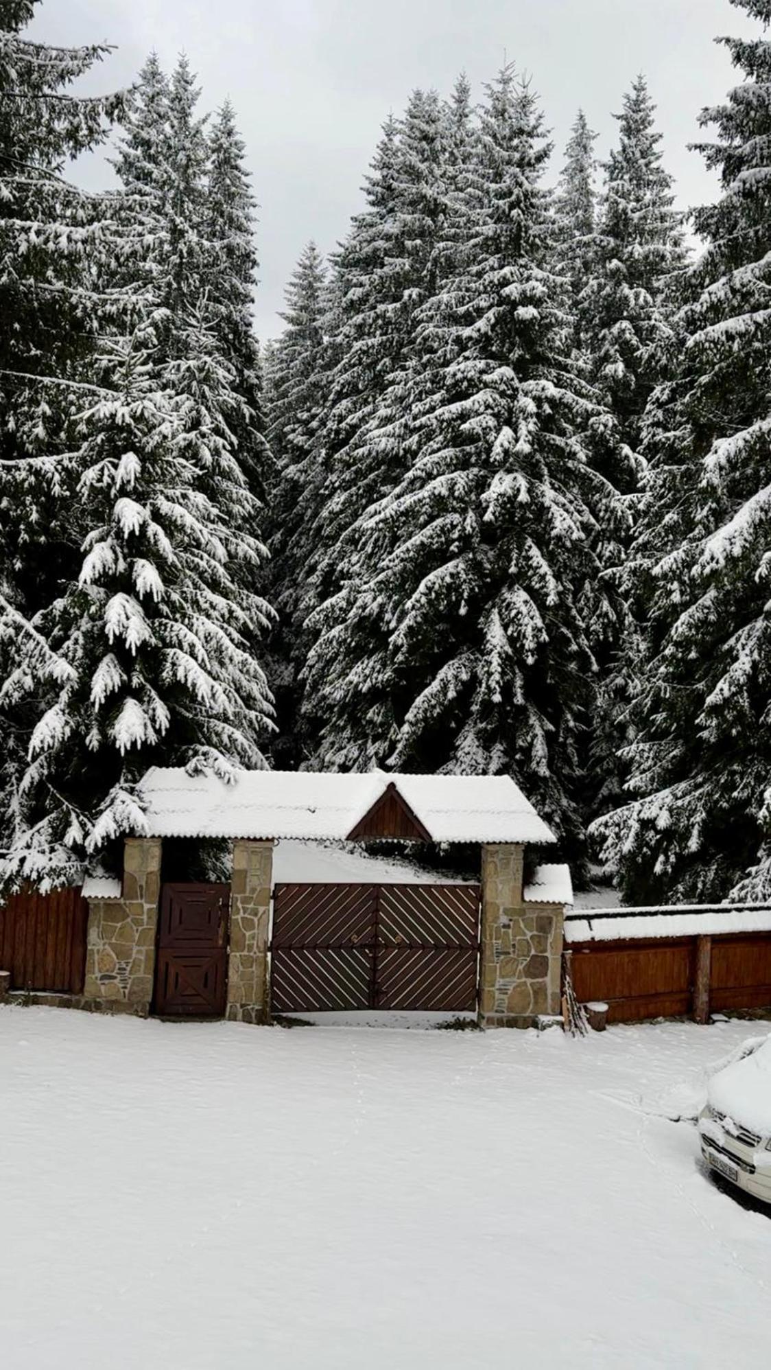 Lodge Kalinka